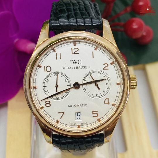 Đồng Hồ Tự Động IWC Schaffhausen Niềng Vàng Đồng.