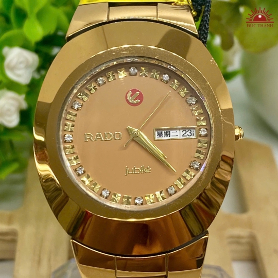 Đồng Hồ Nam Đá Đúc Rado - Mặt Nâu Niềng Nâu - 0028
